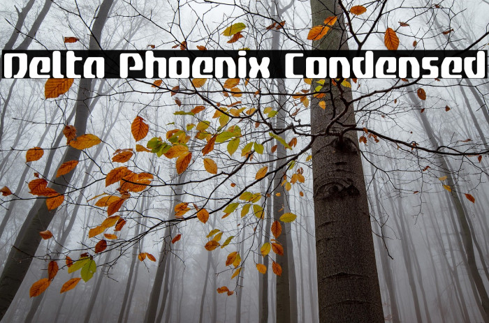 Delta Phoenix Condensed Example 3