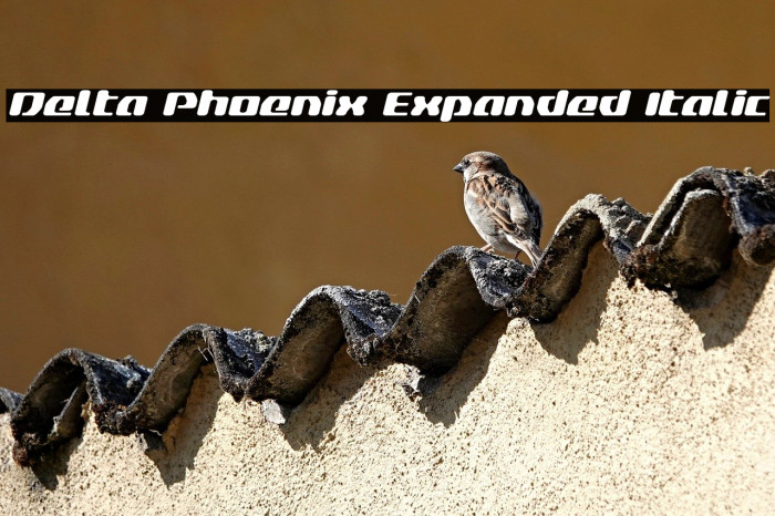 Delta Phoenix Expanded Italic Example 3