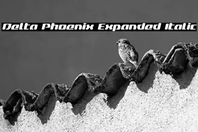 Delta Phoenix Expanded Italic Example 3