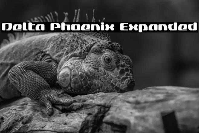 Delta Phoenix Expanded Font examples