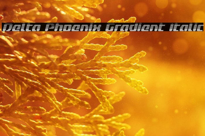 Delta Phoenix Gradient Italic Example 2