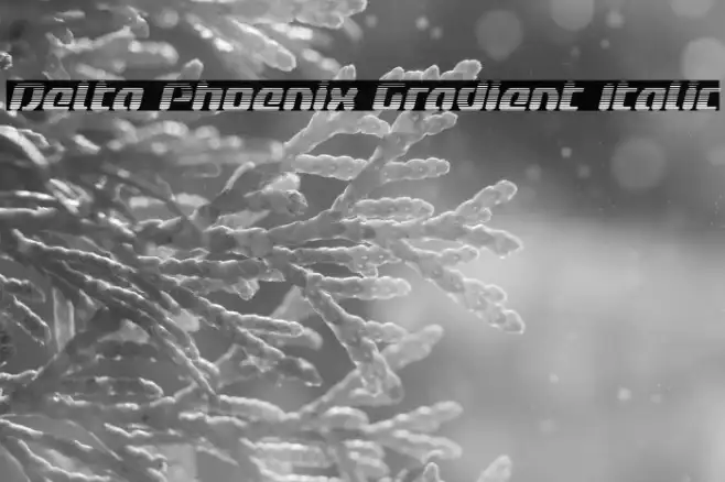 Delta Phoenix Gradient Italic Example 2