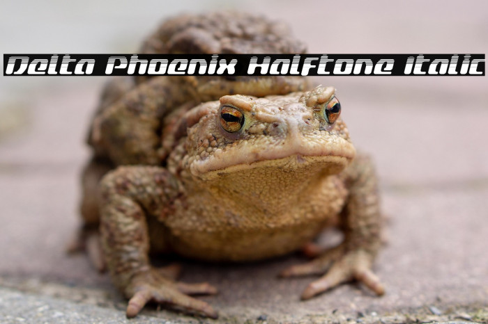 Delta Phoenix Halftone Italic Example 1