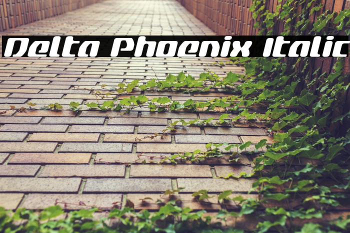 Delta Phoenix Italic Example 1