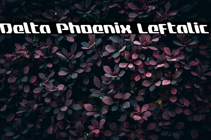 Delta Phoenix Leftalic Example 3