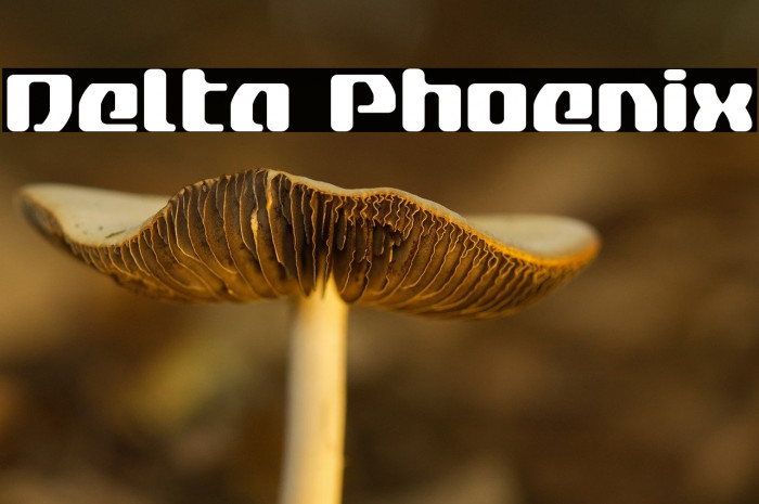 Delta Phoenix Example 2