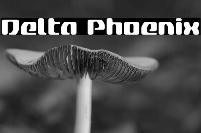 Delta Phoenix Example 2