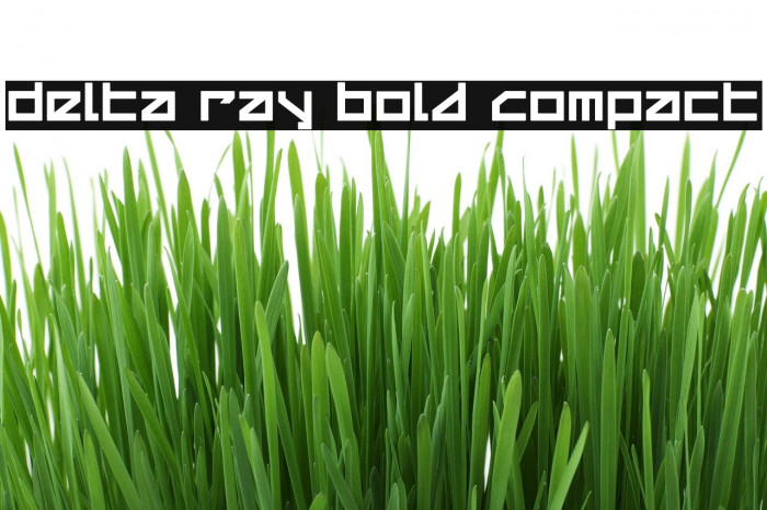 Delta Ray Bold Compact Font examples
