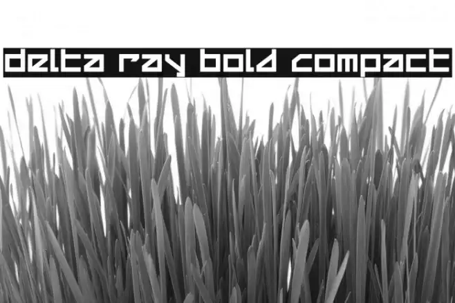 Delta Ray Bold Compact Example 1