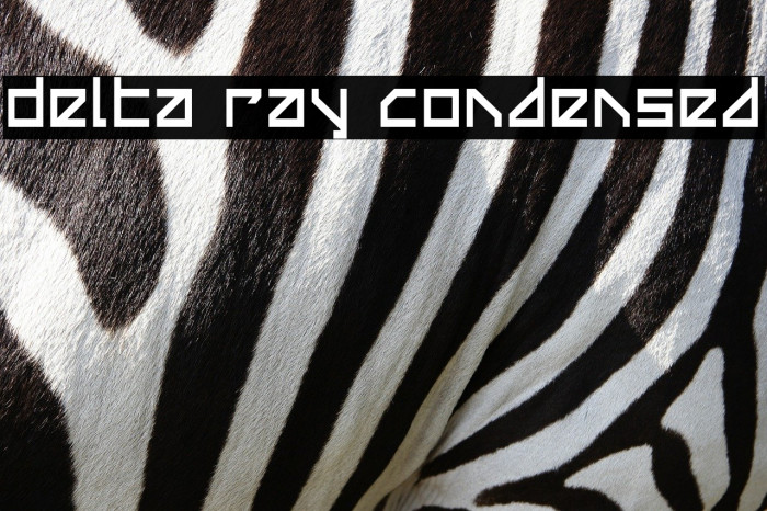 Delta Ray Condensed Font examples