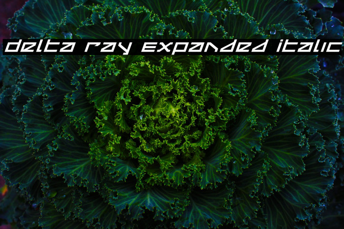 Delta Ray Expanded Italic Font examples