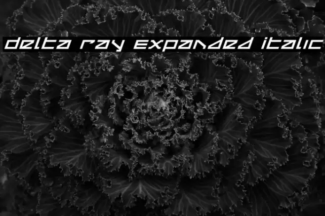 Delta Ray Expanded Italic Font examples