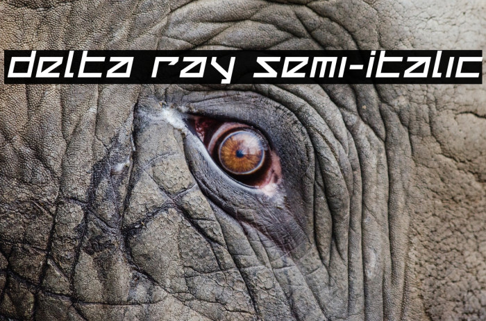 Delta Ray Semi-Italic Font examples