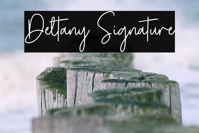 Deltany Signature Example 1