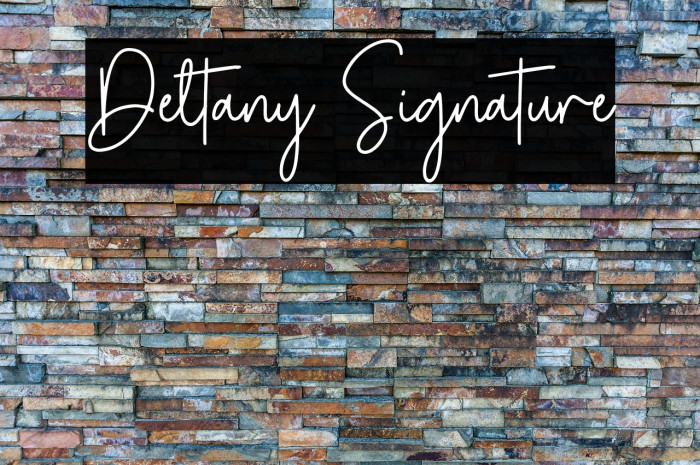 Deltany Signature Example 3