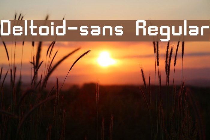 Deltoid-sans Regular Font examples