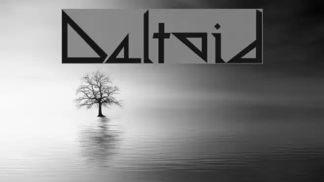 Deltoid Font examples