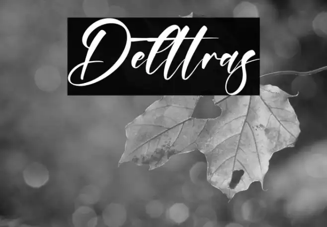 Delttras Example 3