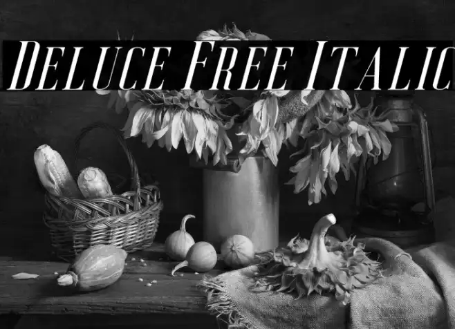 Deluce Free Italic Example 3