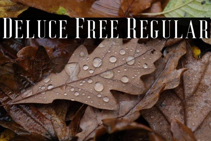 Deluce Free Regular Example 1