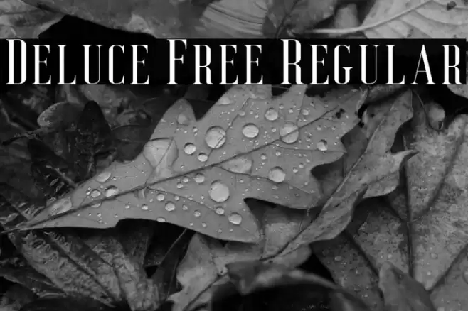 Deluce Free Regular Font examples
