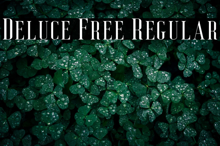 Deluce Free Regular Example 2