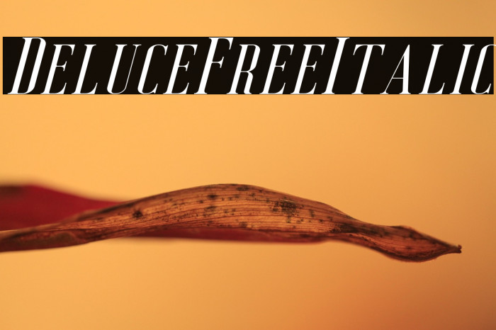 DeluceFree-Italic Example 2