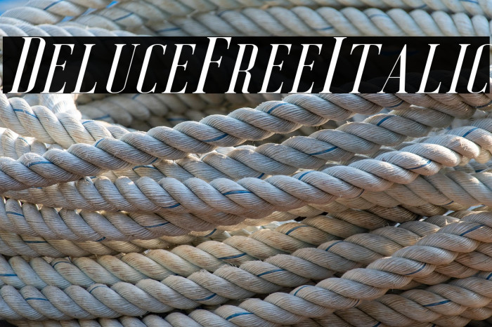 DeluceFree-Italic Example 3
