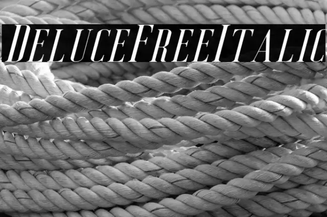 DeluceFree-Italic Font examples