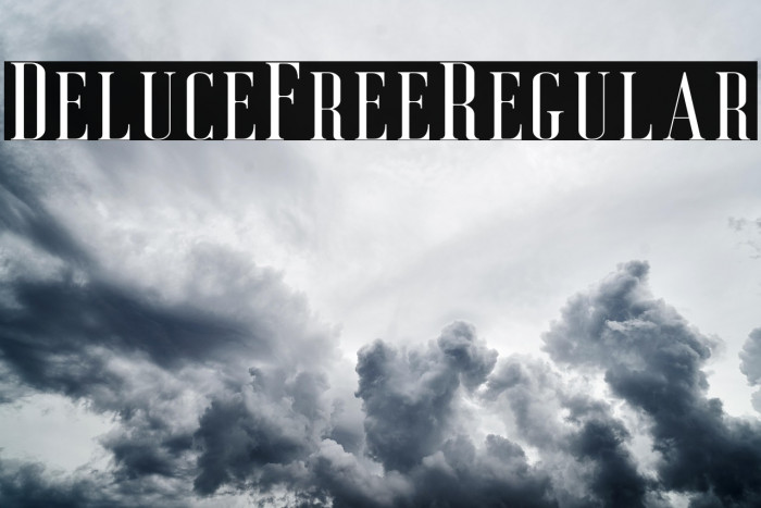 DeluceFree-Regular Example 1