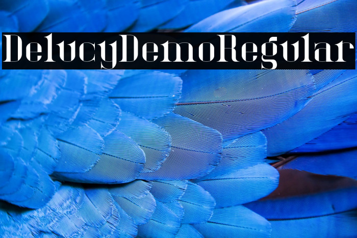 DelucyDemo-Regular Example 1