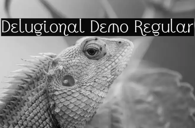 Delugional Demo Regular Example 1
