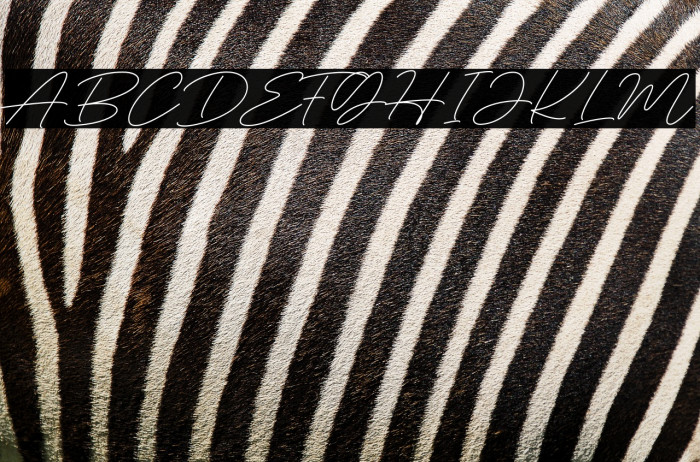 Deluna Signature Example 1