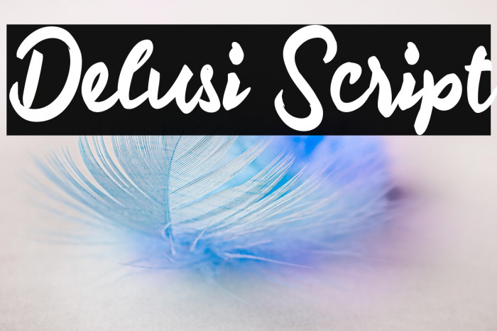 Delusi Script Example 1