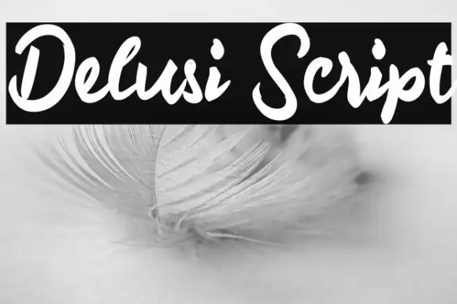 Delusi Script Font examples