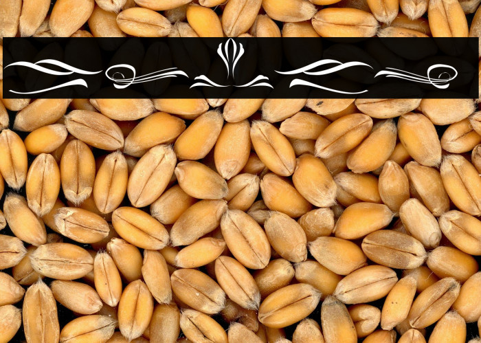 Delusion Ornament Example 2