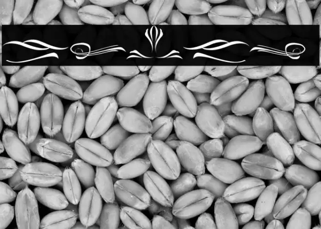 Delusion Ornament Font examples