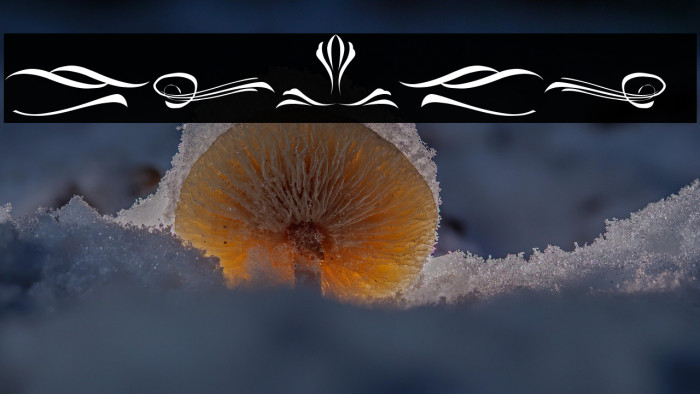 Delusion Ornament Example 3