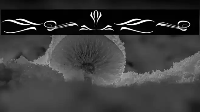 Delusion Ornament Font examples