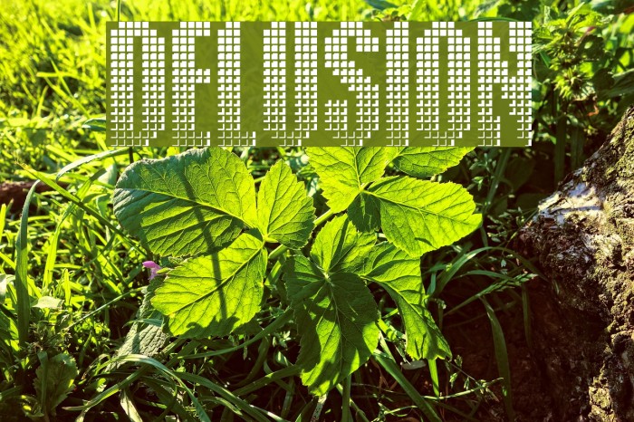 Delusion Font examples