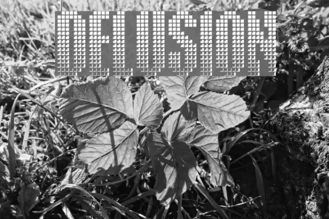 Delusion Font examples