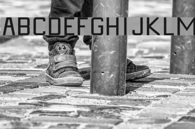 DeluxeBook Fonte examples