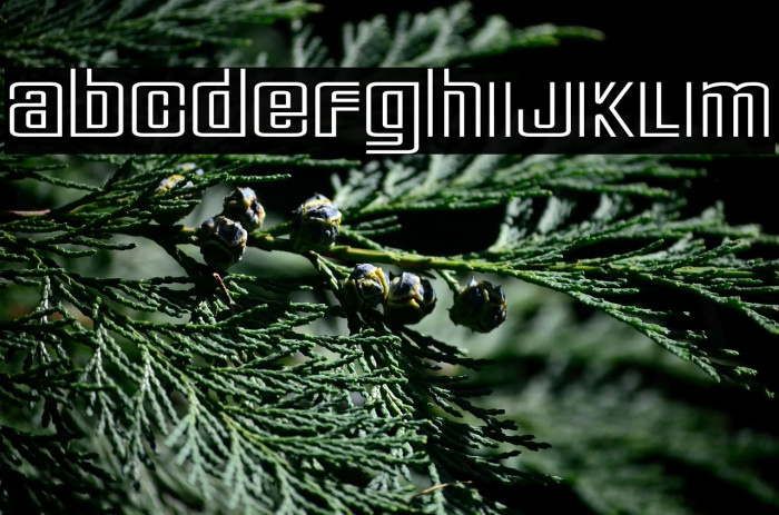 DeluxeDucks-Regular Example 2