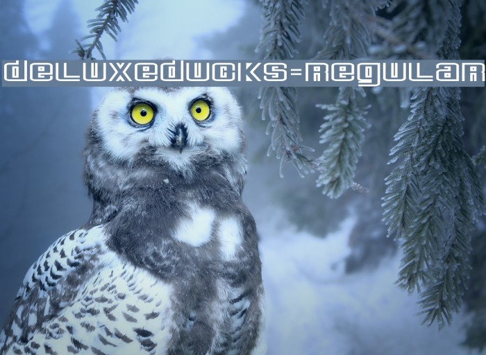 DeluxeDucks-Regular Font examples
