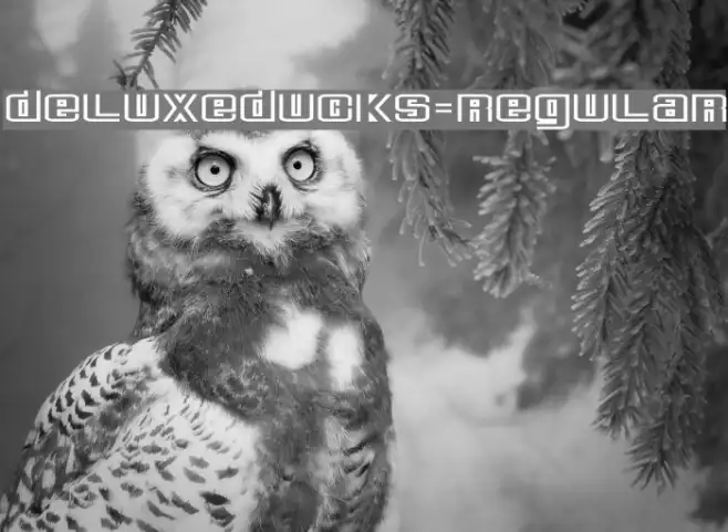DeluxeDucks-Regular Example 1