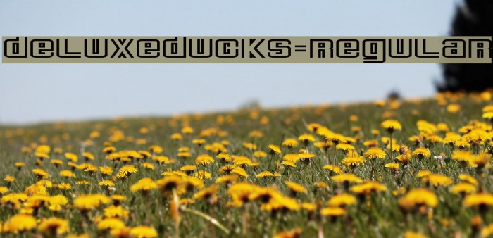 DeluxeDucks-Regular Font examples