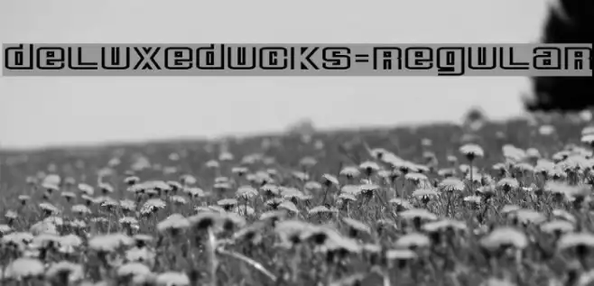 DeluxeDucks-Regular Example 2