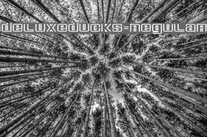 DeluxeDucks-Regular Example 3