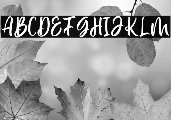 Delvina Font examples