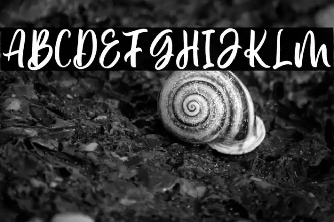 Delvina Font examples